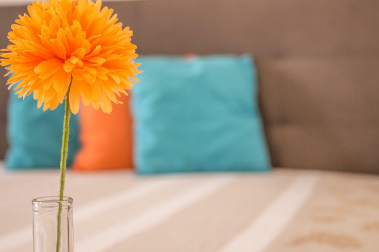 Maricciolu Suites And Apartments Όλμπια Εξωτερικό φωτογραφία